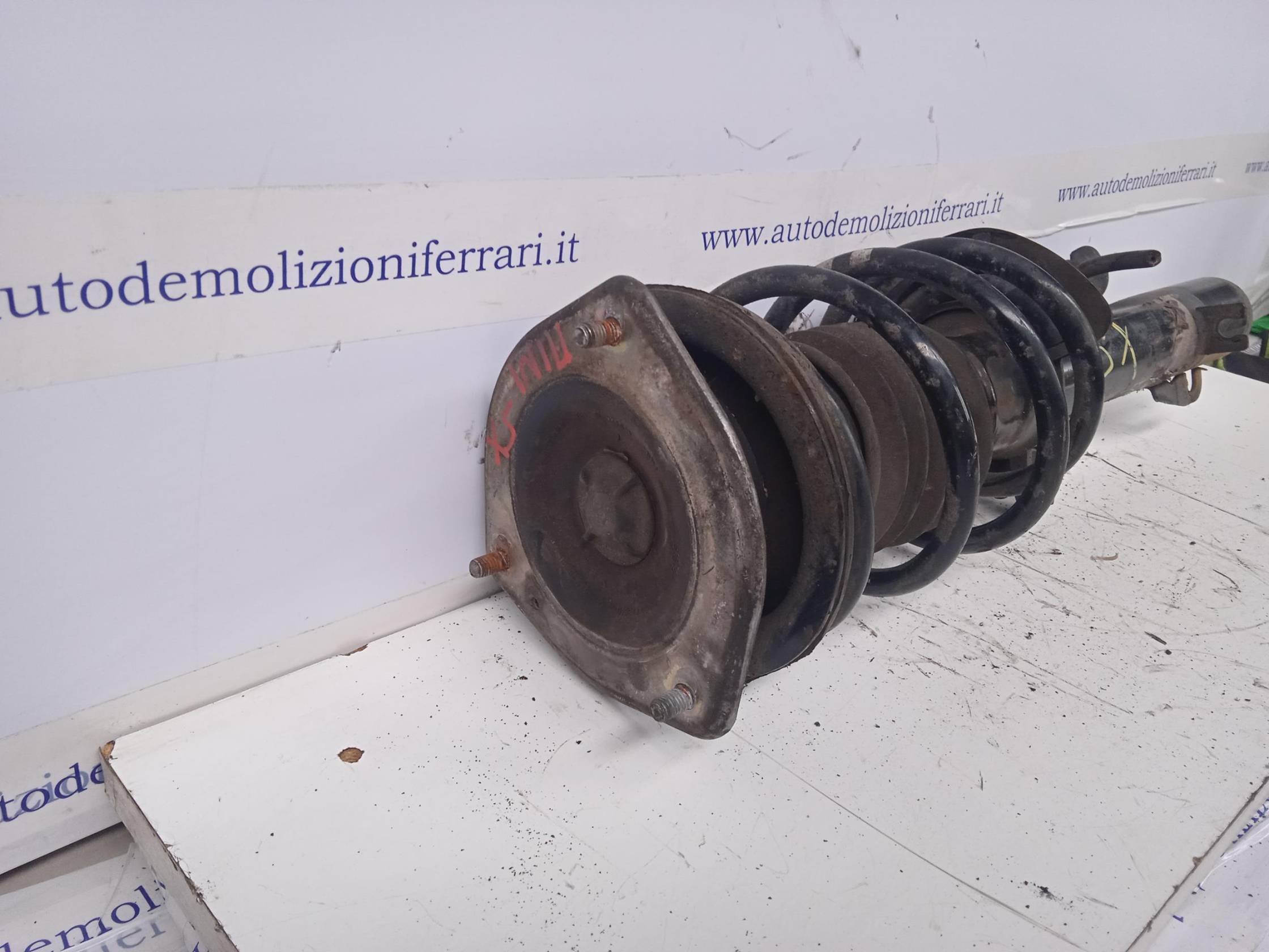 Ammortizzatore ant. sx.